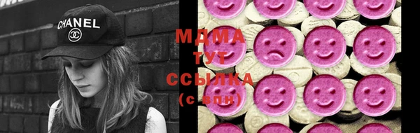 индика Алексин