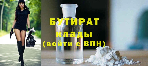 индика Алексин