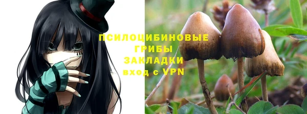 индика Алексин