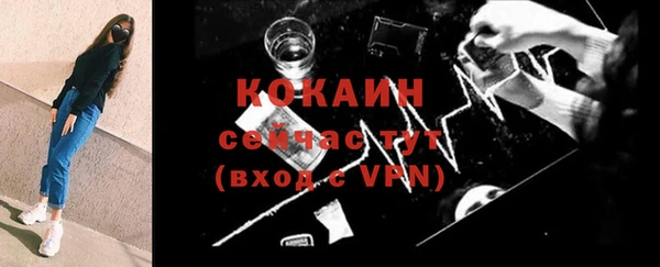 индика Алексин