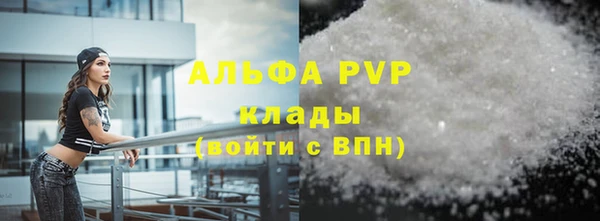 индика Алексин