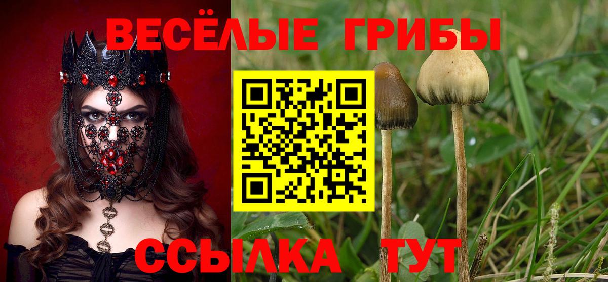 Волоколамск  Псилоцибиновые грибы ЛСД  где купить   Вход с VPN 